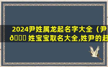 2024尹姓属龙起名字大全（尹 🐋 姓宝宝取名大全,姓尹的赶紧收藏!）